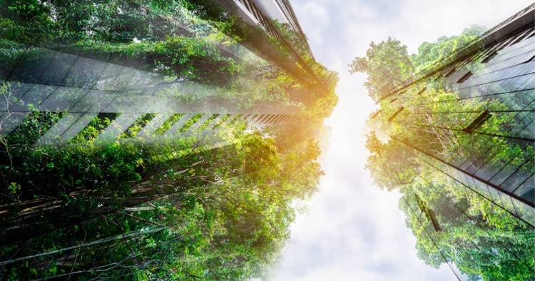 Smart and Sustainable Cities