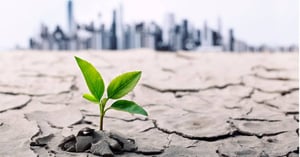 Warum Smart Cities sich mit Wassermanagement beschäftigen sollten