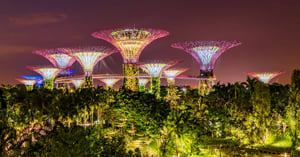 What can theme parks teach us about smart cities? - Smart Cities World